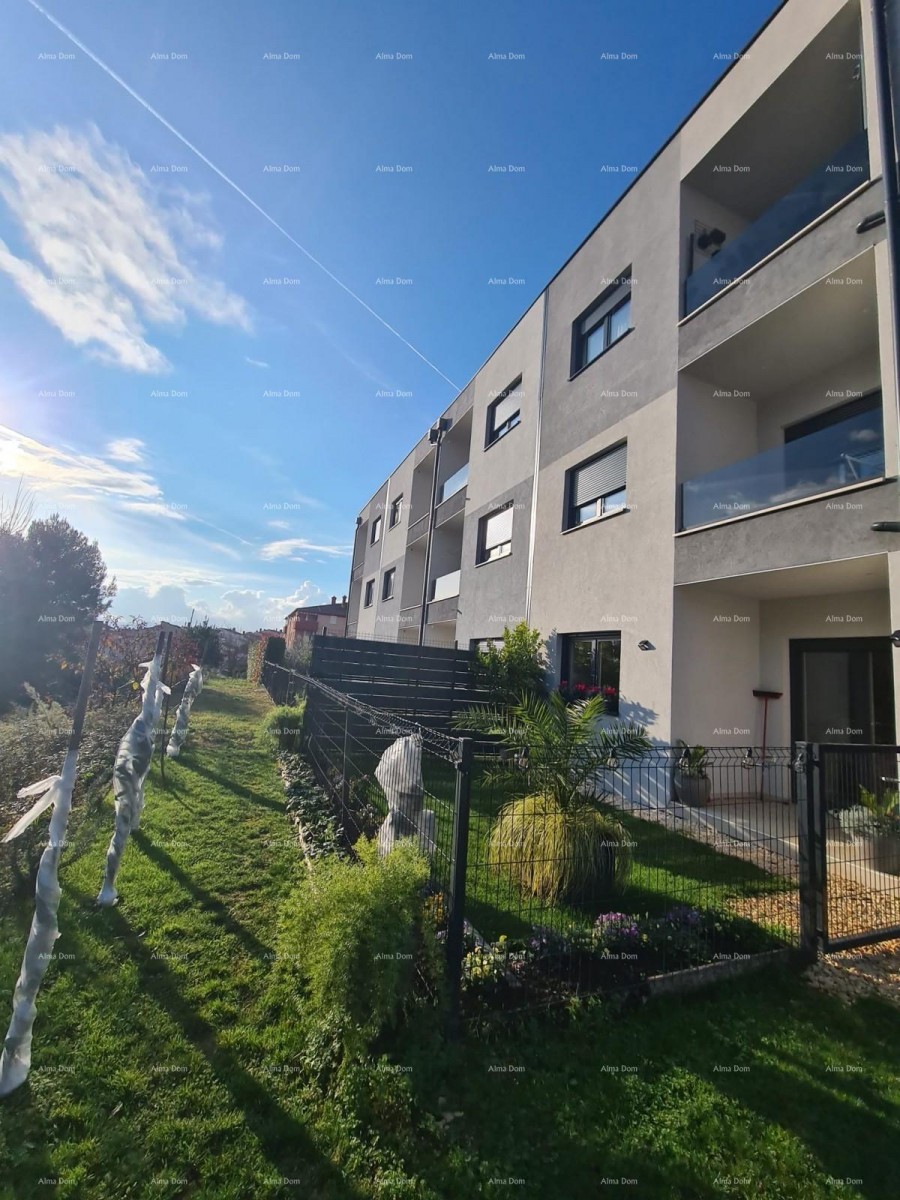 In italiano, il titolo si traduce in: 19