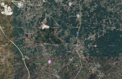 Građevinska parcela sa starim maslinama preko 200 godina!