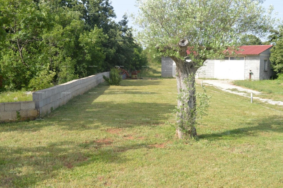 Near Marcana, house on a large plot of 26,000 m2. 12