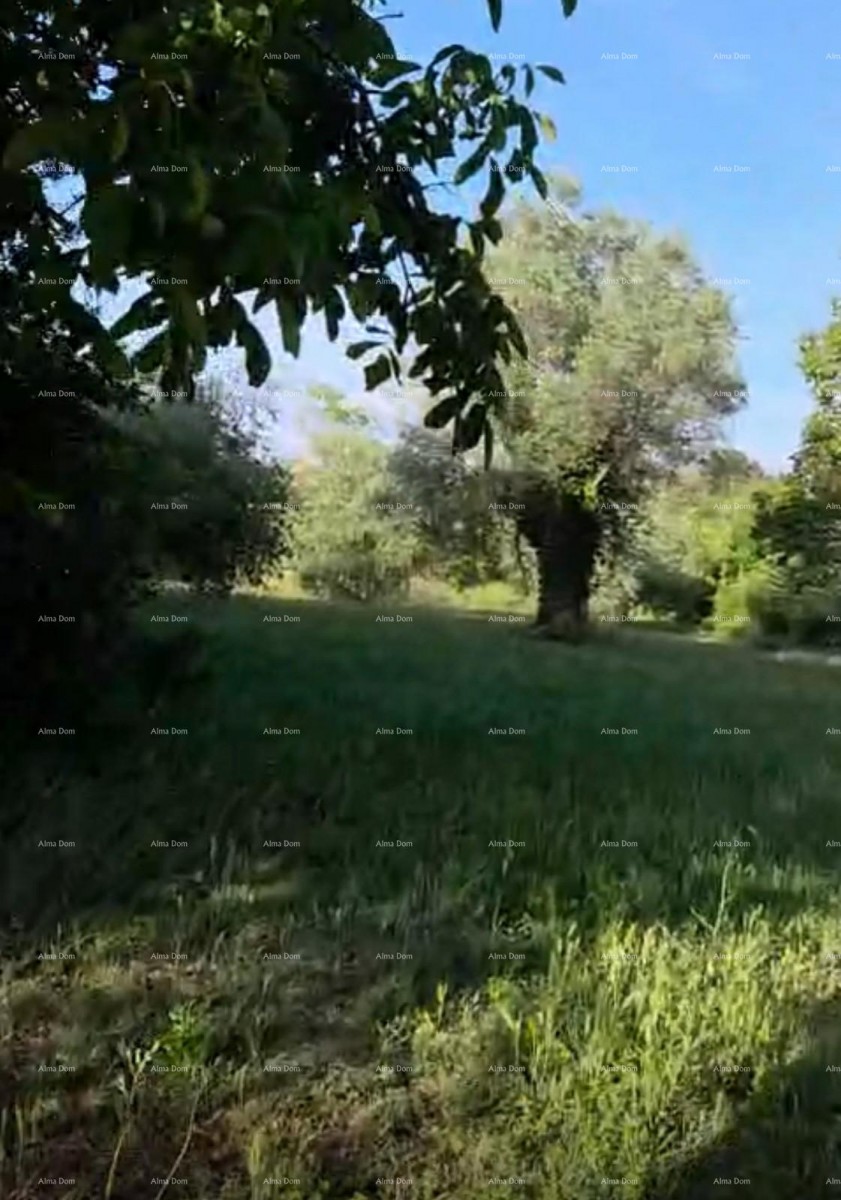 Prodaja stancije na top lokaciji, Rovinj! - Zgrada mješovite namjene s velikim imanjem na kojem se može graditi zgrada s 9 stambenih jedinica.. 1