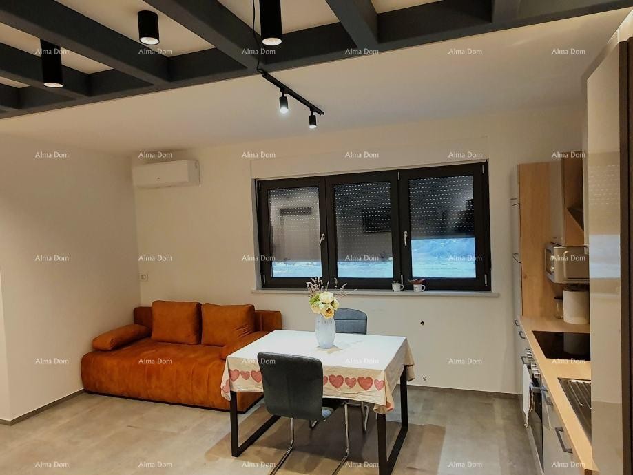 In vendita ampio appartamento con galleria e terrazza sul tetto – Foresta di Šijana 5