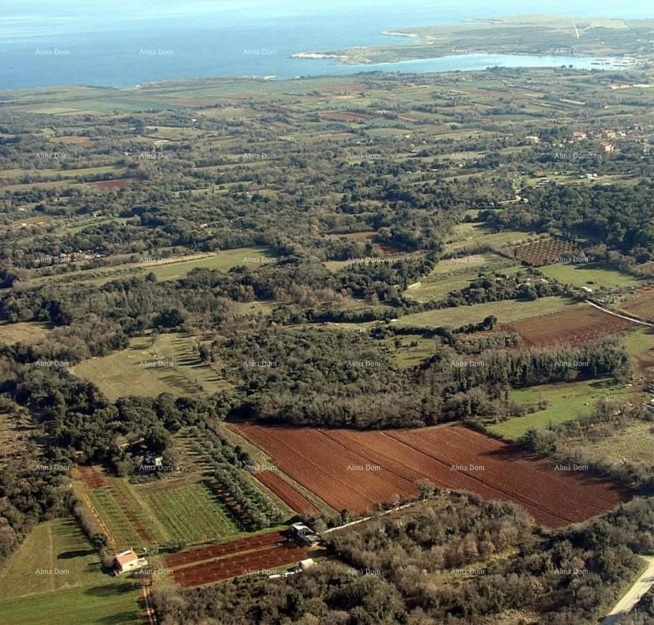 Investment Opportunity! Sale of Construction Land for Tourism and Hospitality Purposes - T Zone, Ližnjan! 1