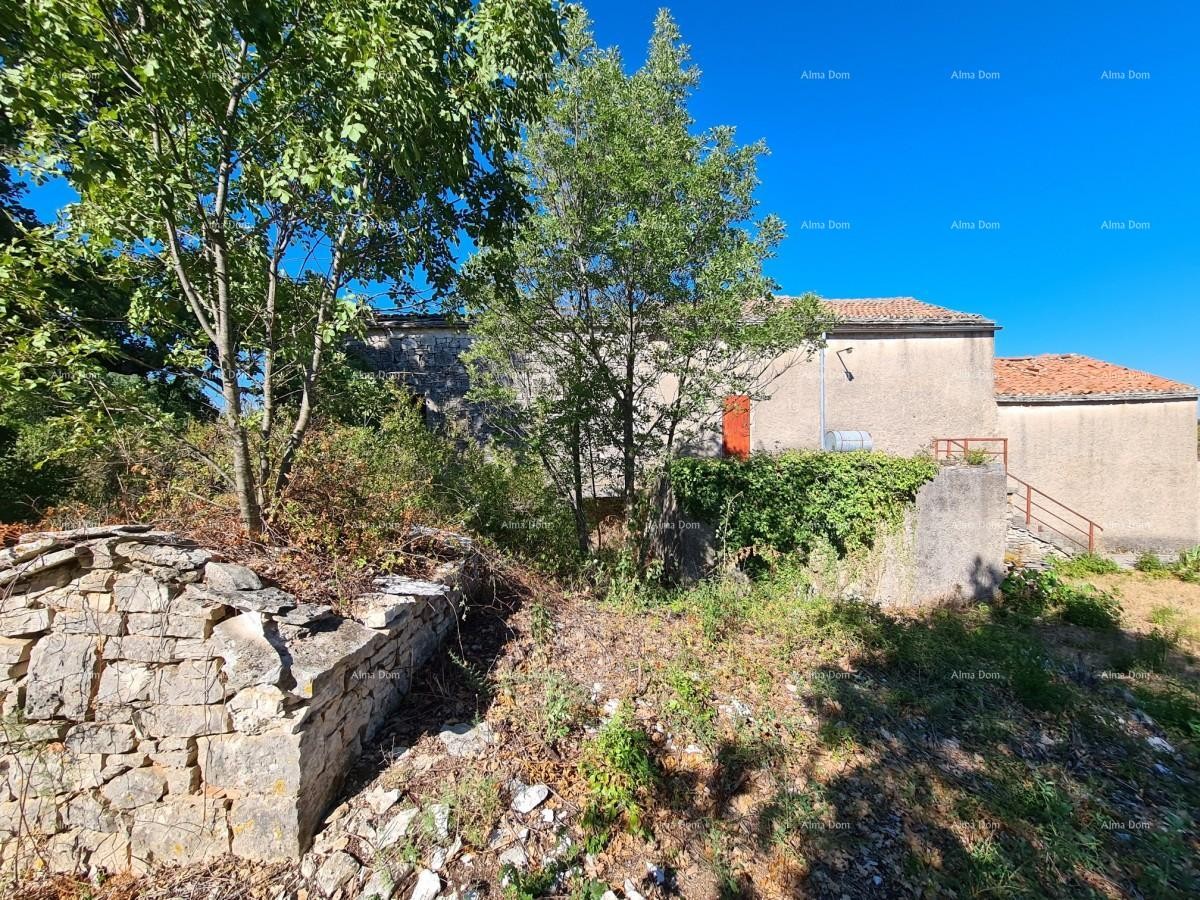 Stancija pri Vodnjanu! Veliko zemljišče 6390 m2!! 2