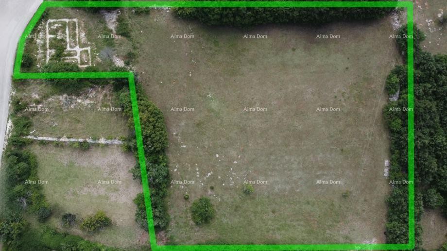 Земля под застройку и сельскохозяйственного назначения, Юршичи 2