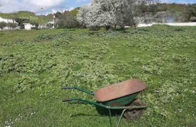 Please provide the title you would like me to translate into Slovenian (slv).