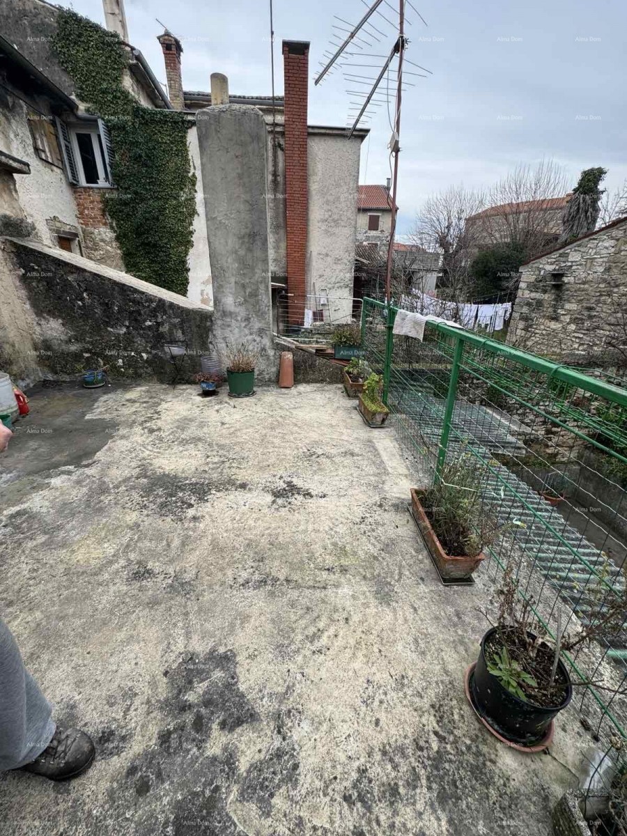 A house with a yard near the center, Buje! 4