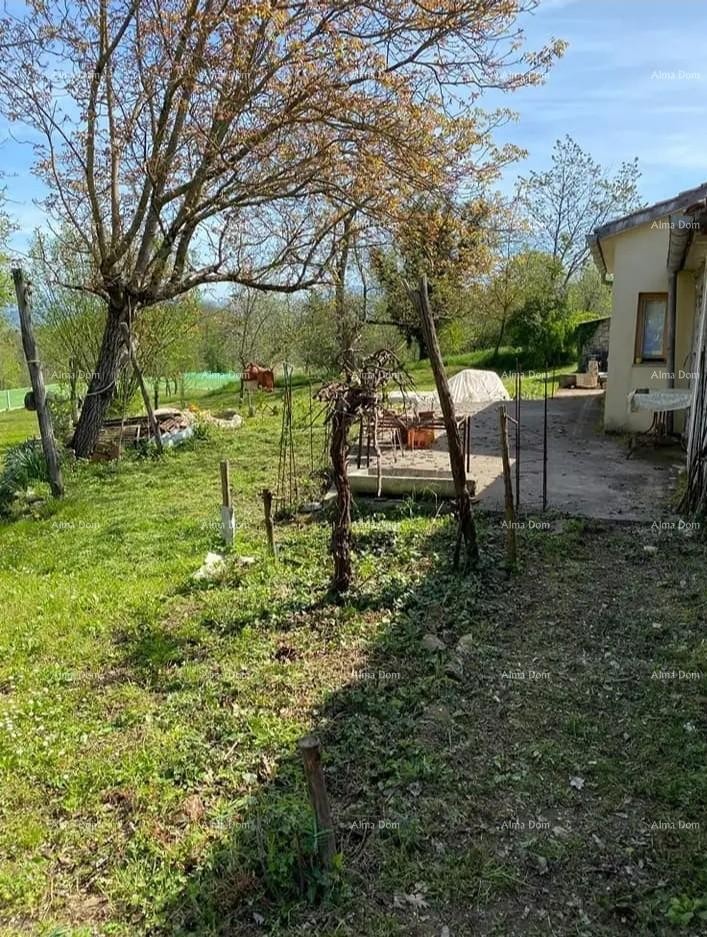 Prodajemo  kuću i konobu, , Pazin! 6