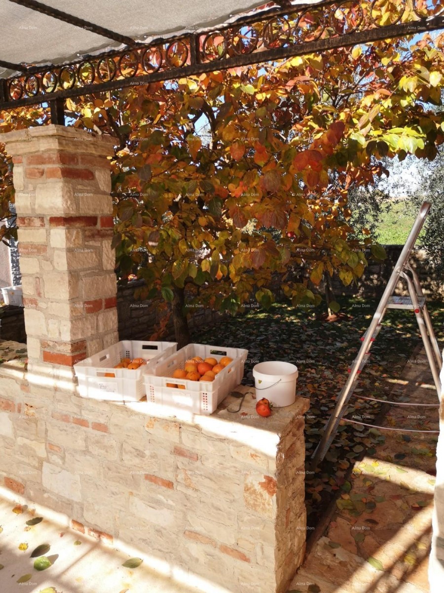 Beautiful house with large pool 25