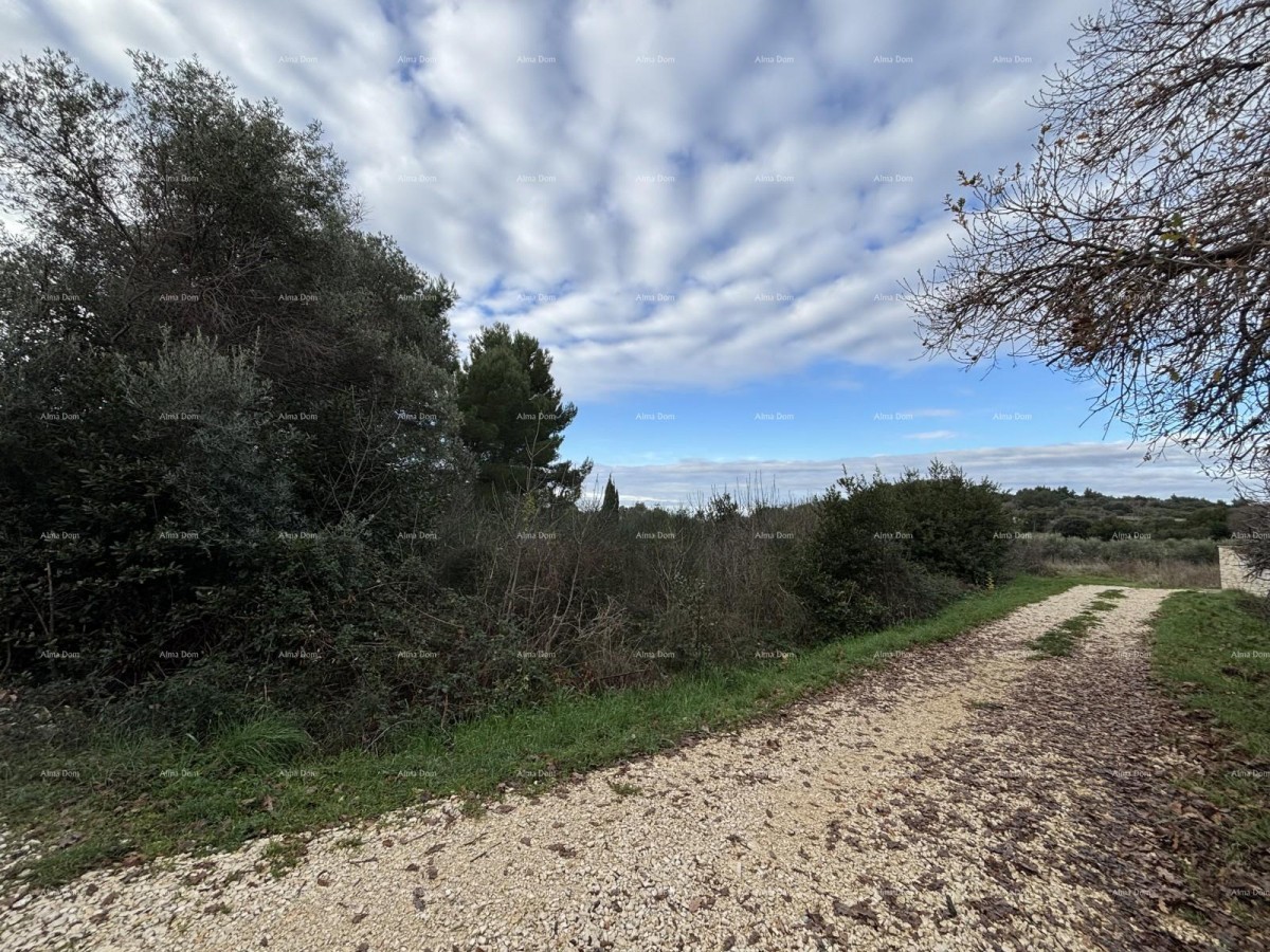 Premantura, construction land 1,600 m² 1