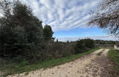 Premantura, construction land 1,600 m²