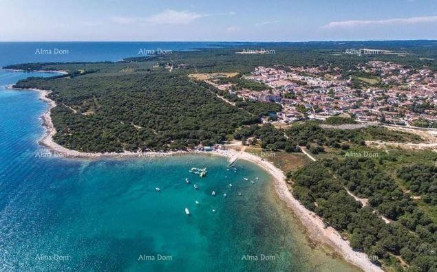 Kuća s  tri zasebna stana i maslinikom, svega 500 m od mora 1