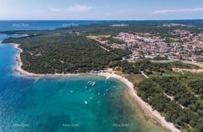 Kuća s  tri zasebna stana i maslinikom, svega 500 m od mora