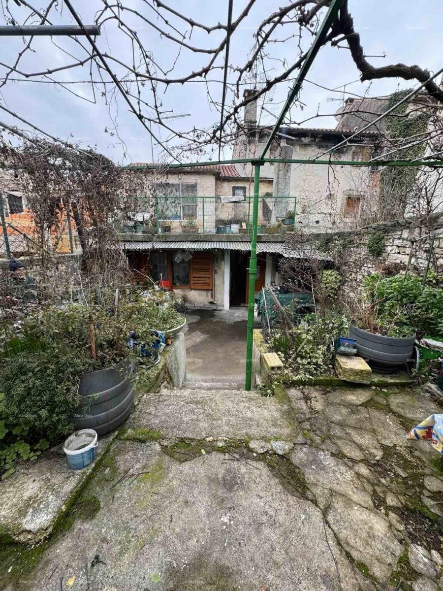 A house with a yard near the center, Buje! 22