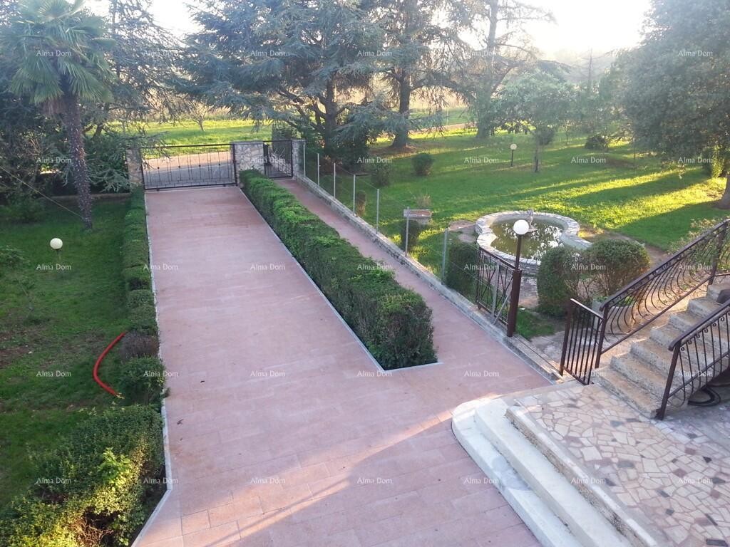 Casa con tre appartamenti e ampio terreno circondata da vigneti e uliveti 6