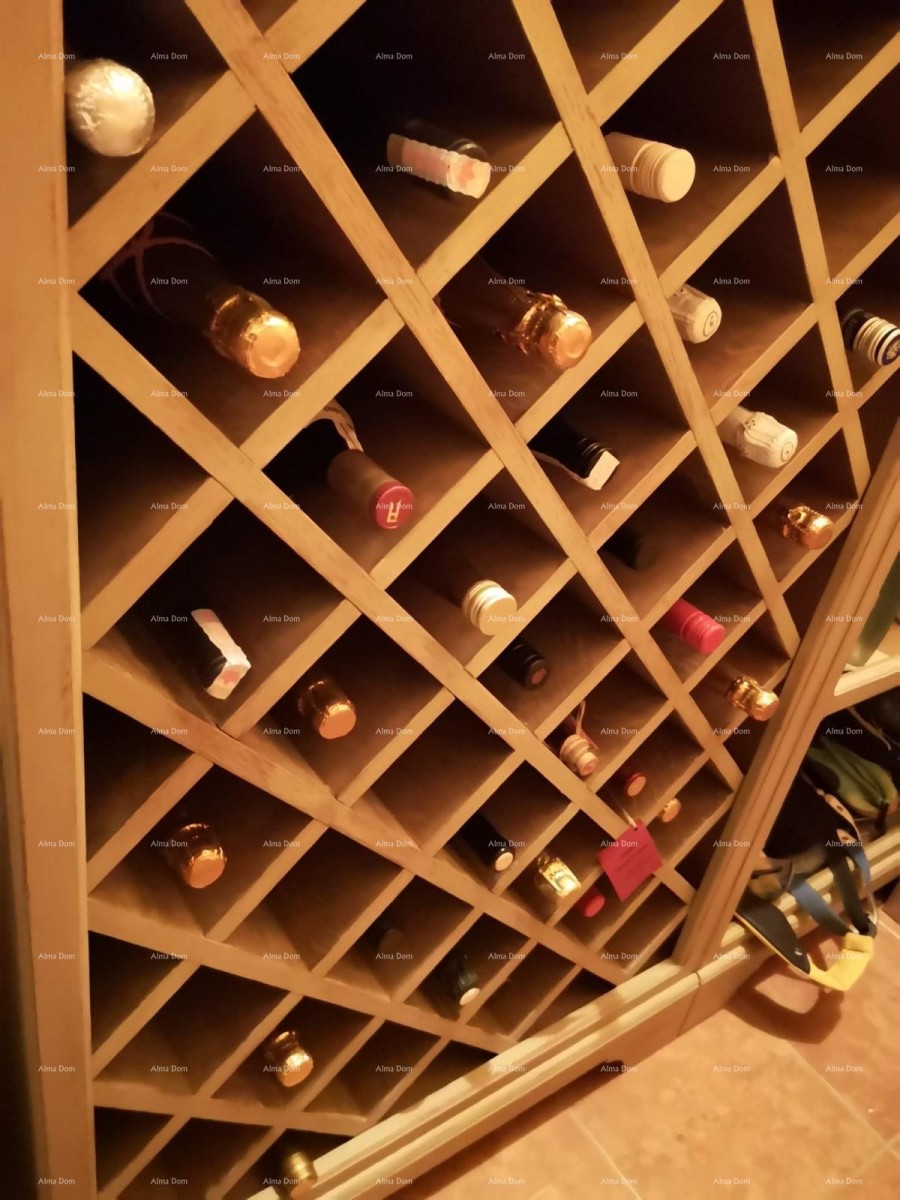 Beautiful house with large pool 16