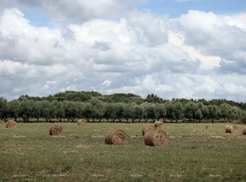 Investment Opportunity! Sale of Construction Land for Tourism and Hospitality Purposes - T Zone, Ližnjan! 2