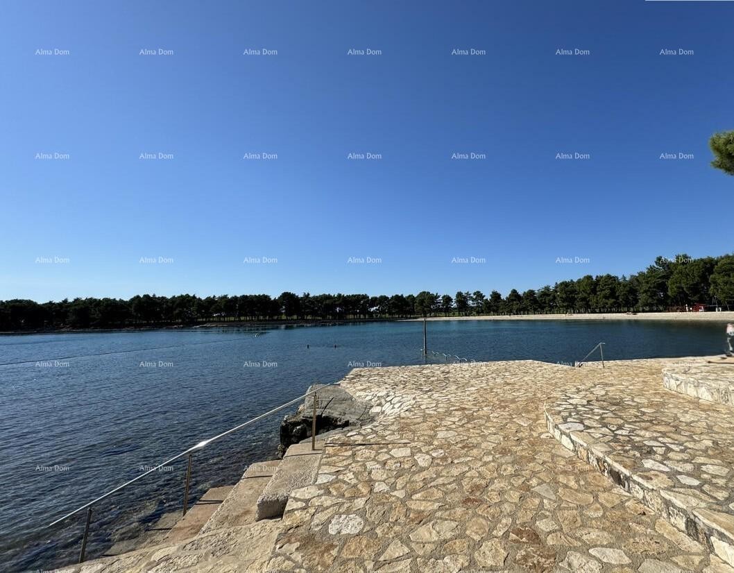 Appartamento Novigrad 1