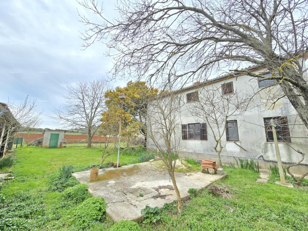 Casa spaziosa vicino a Pola! Due appartamenti - 2500 m² di terreno! 12