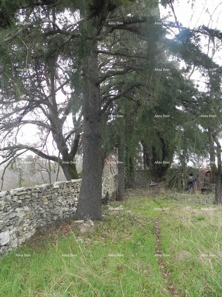 Prodaja - gradbeno zemljišče velikosti 730 m² na atraktivni lokaciji, v bližini Rovinjskega sela! 2