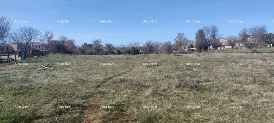 The translation of the title 