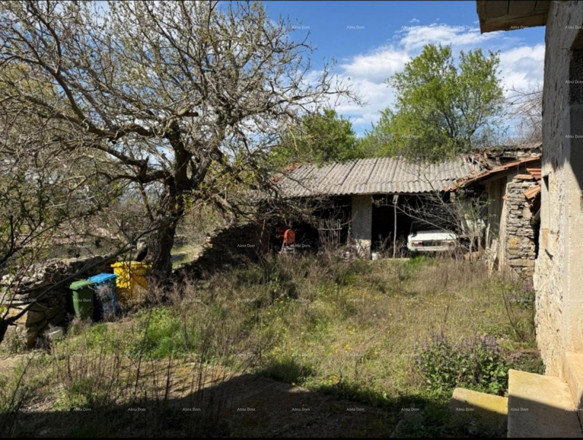 RAŠA, STARINA S VELIKOM OKUĆNICOM 13