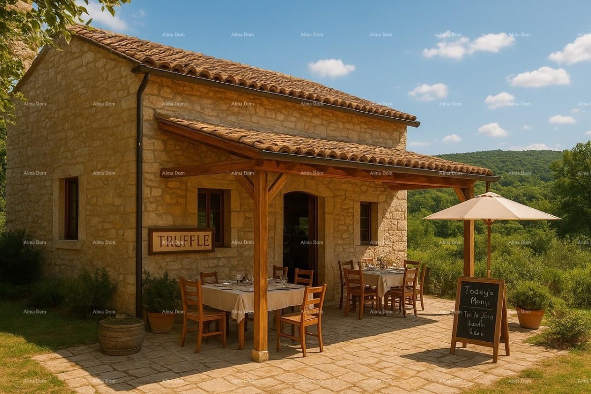 Prodaja- veliko imanje/stancija u središnjoj Istri, Pazin! Investicijska prilika! 9