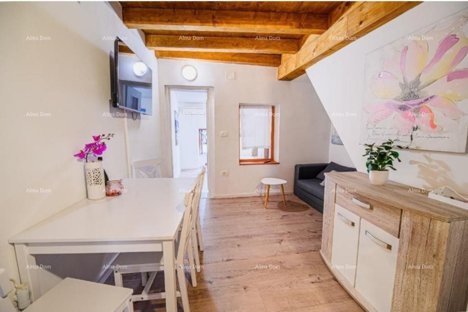 Sale of a furnished and renovated apartment - first row to the sea! Umag 3