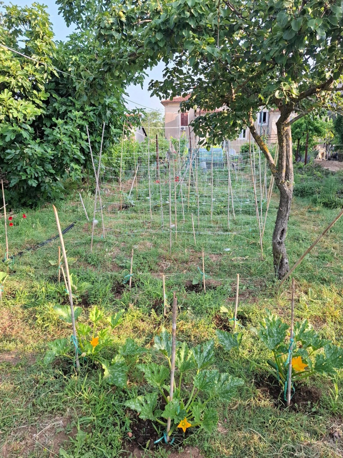 Prostran trosobni stan površine 81 m², neposredna blizina suda, Pula  Veruda 21