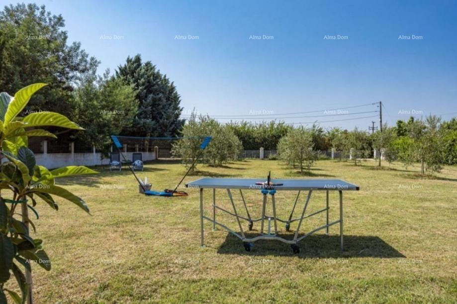 Радеки Главица, Лоборица – Дом с земельным участком, оливковой рощей и фруктовым садом 4