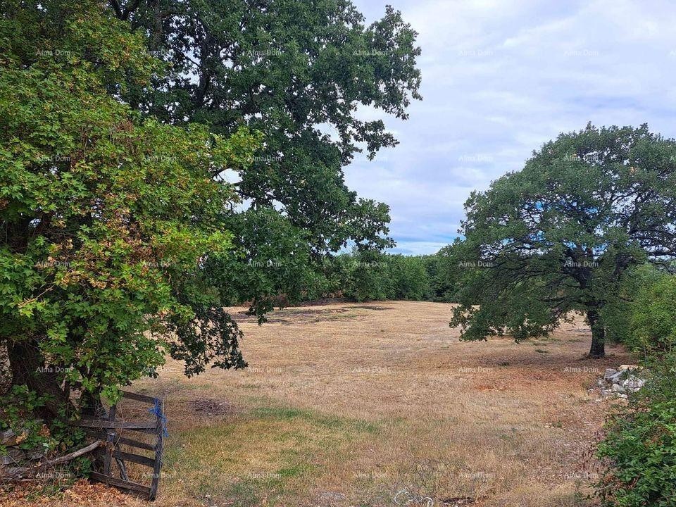 Sale of construction land, Kanfanar 3