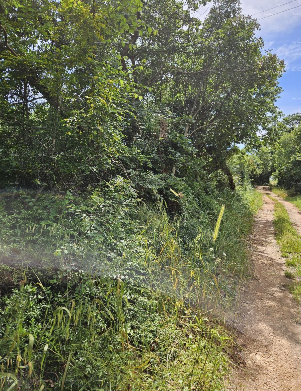 Building plot for sale, 1712m2, Marčana 5