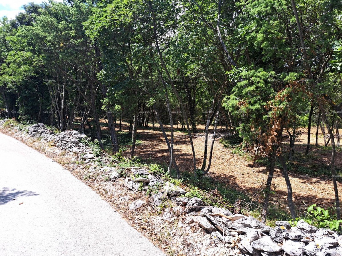 Zemljišče Marčana 2