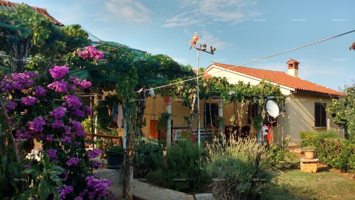 Prodaje se samostojeća kuća, 175 m2, Marčana 1