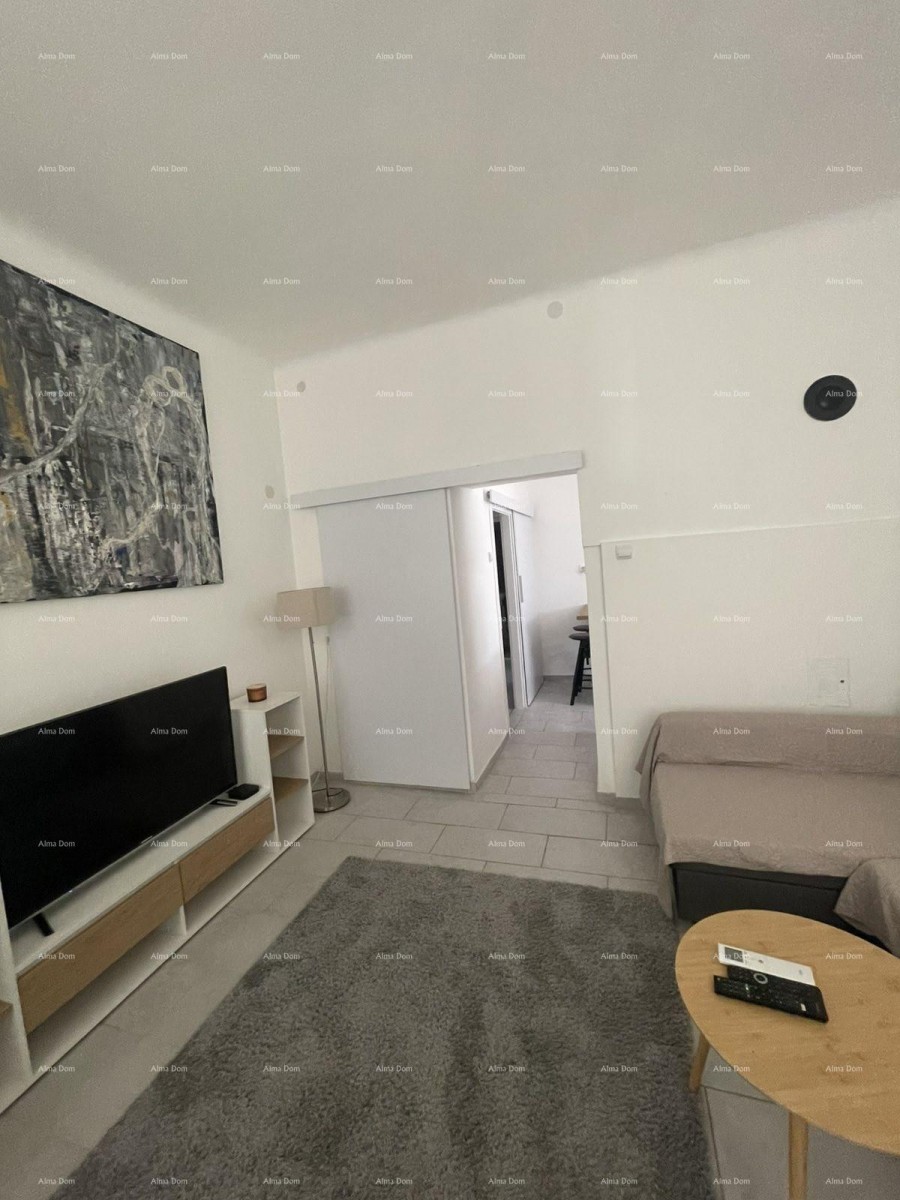 Appartamento arredato di 45 m2 al piano terra nel centro di Pola 7