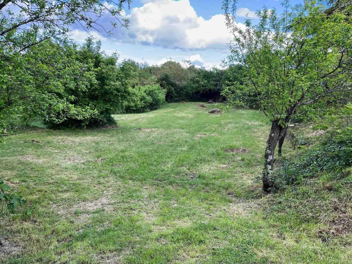 Prodaje se  građevinsko zemljište, 1137 m2,  Kanfanar 3