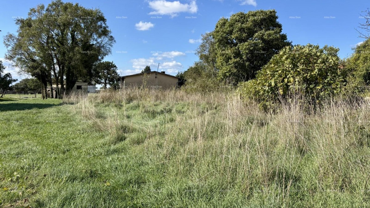 Marčana Cokuni  TERRENO 15