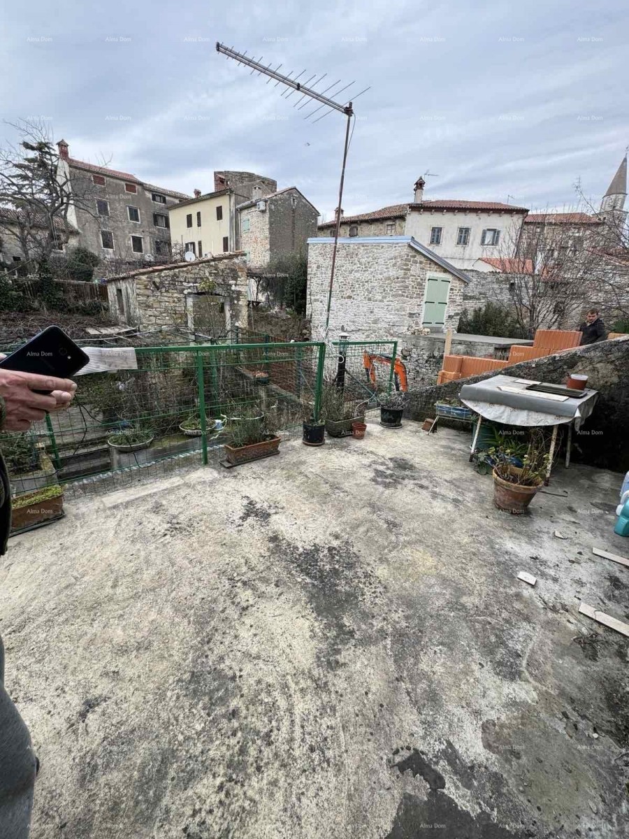 A house with a yard near the center, Buje! 5