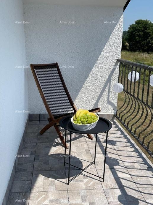 LOBORIKA – KUĆA S VELIKOM OKUĆNICOM I GRAĐEVINSKIM PARCELAMA 14