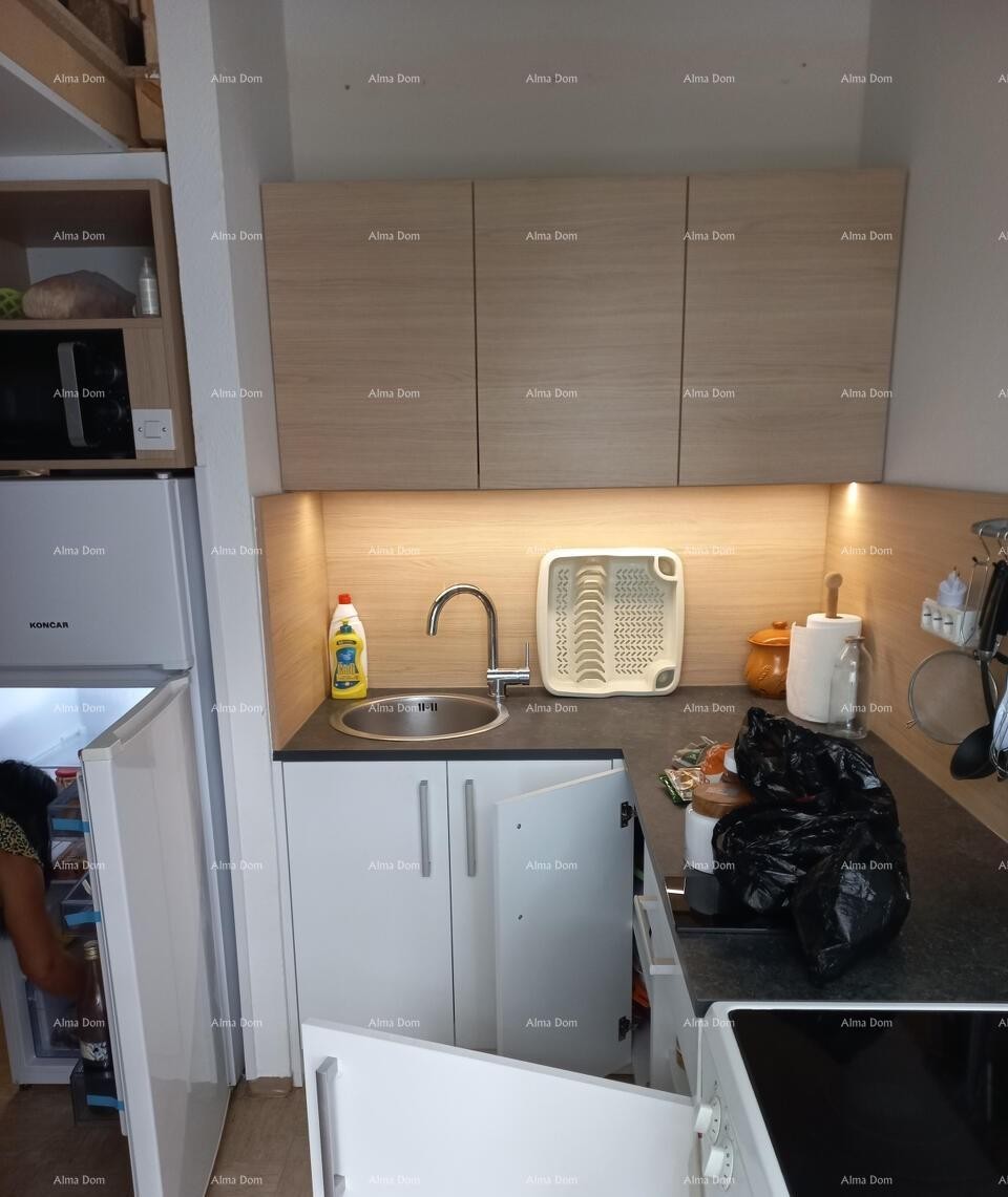 Apartment 32 m2, Mareda 5