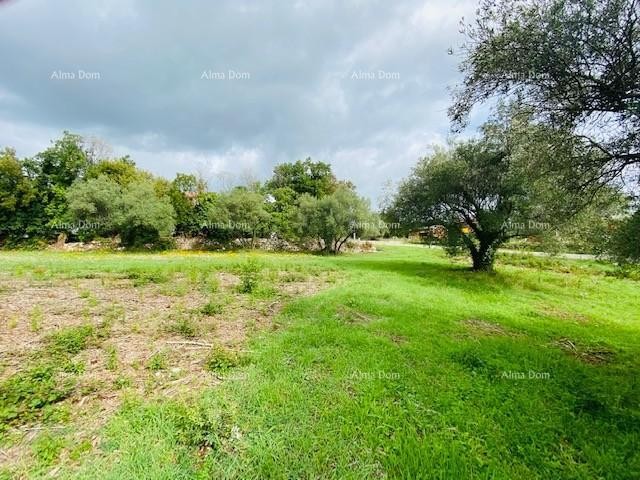 Zemljišče Marčana 1