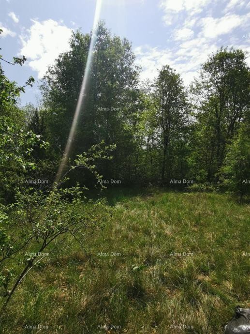 Prodaje se građevinsko zemljište, 1817m2, sa projektom kuće i građevinskom dozvolom, Sveta Nedelja 7