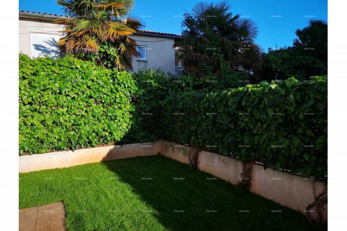 Spacious apartment with a yard, Tar 16