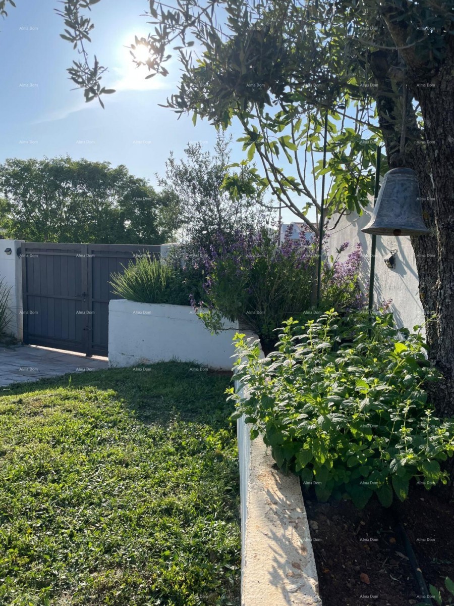 Современная вилла в Истрии с видом на море, крытой террасой и ухоженным садом – 800 м от пляжа 6