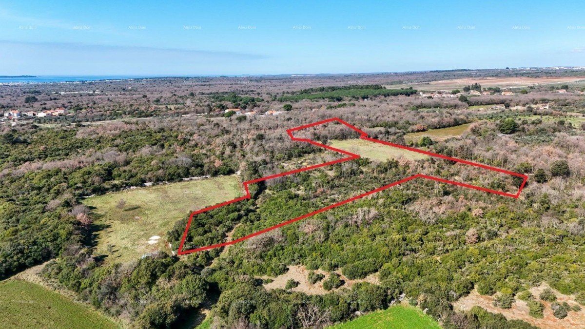 Галижана — Продается большой сельскохозяйственный участок площадью 20 498 м², отличное местоположение 6