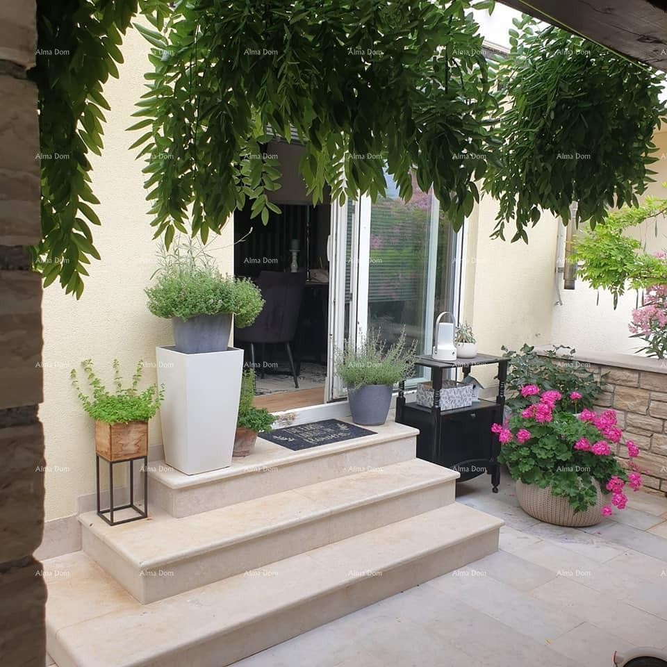 Appartamento Novigrad 1