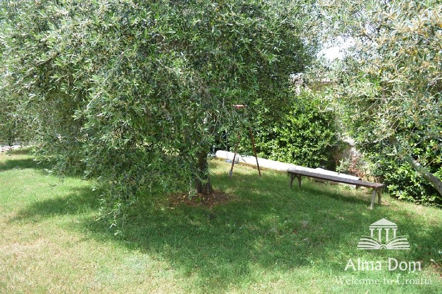 Дом с двумя квартирами и таверной с большим садом. 3