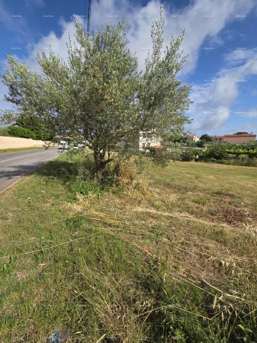 Građevinsko zemljišče 1.412 m², Šegotići 5