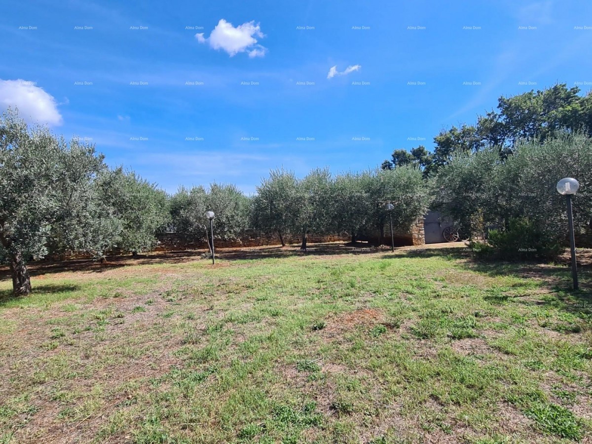 Galiziano! Villa in pietra con due case aggiuntive! 3