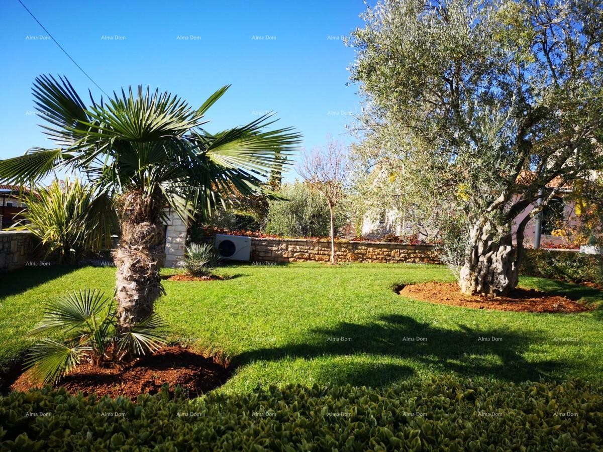 Beautiful house with large pool 2