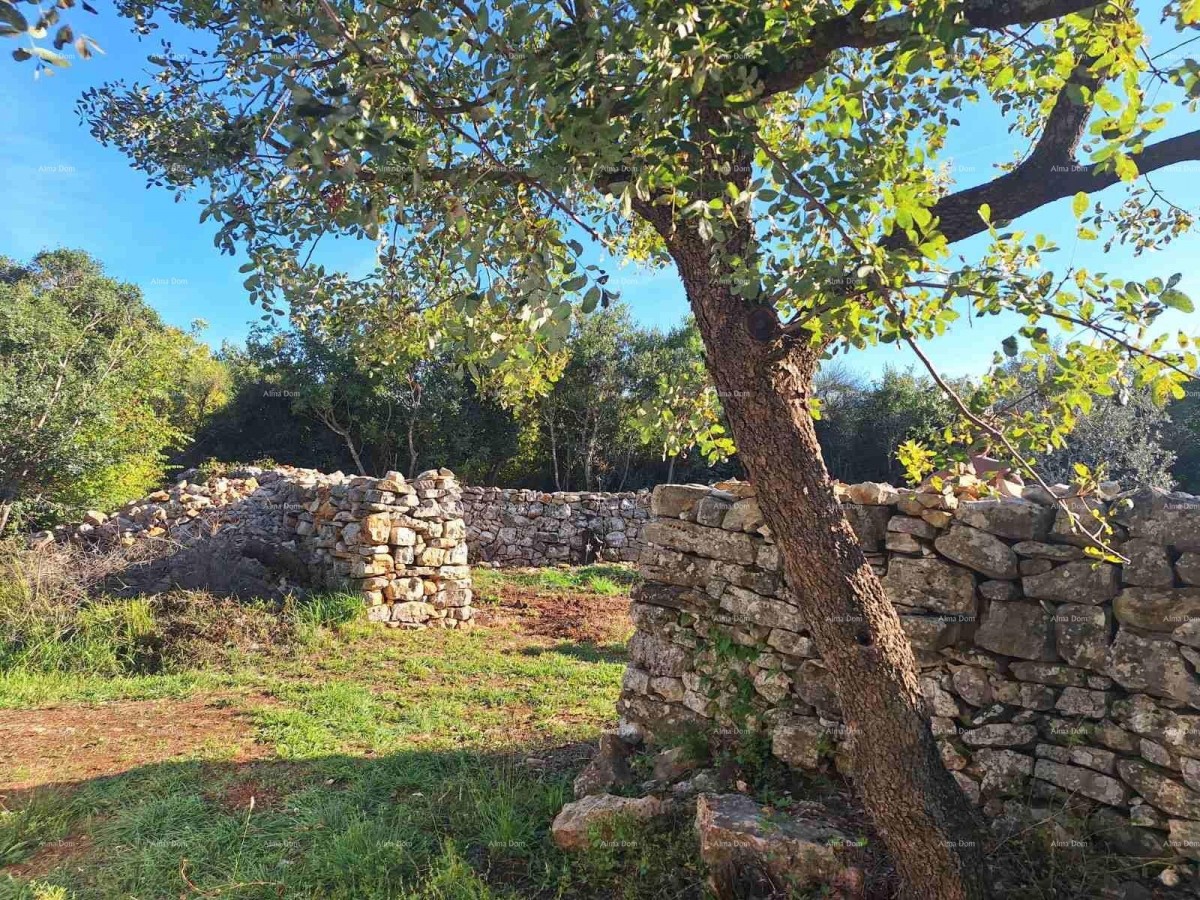 Agricultural Land Near the Sea, Peroj - For Sale! 7